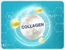 s6_pic_3.png?as=webp&quality=50