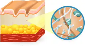 s8a_pic_1.png?as=webp&quality=50